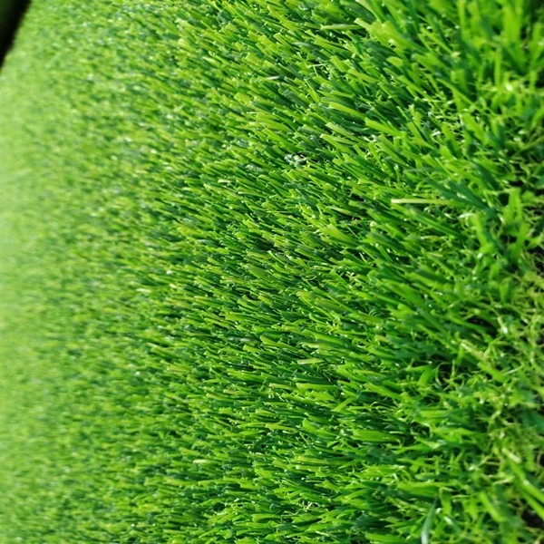 m grass m grass