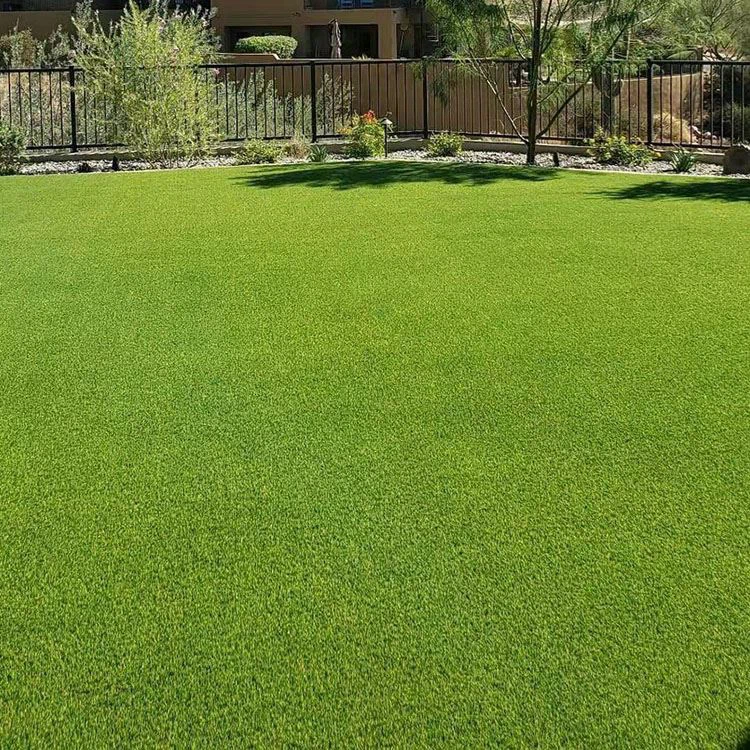 Buntáistí a bhaineann le SyntheticTurf a Shuiteáil